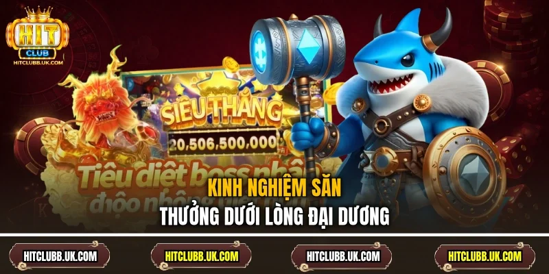 Kinh nghiệm săn thưởng dưới lòng đại dương