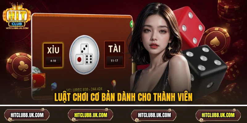 Luật chơi cơ bản dành cho thành viên