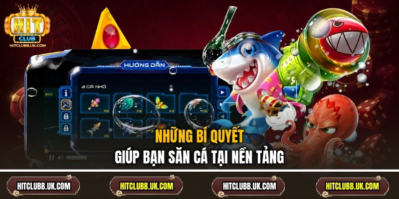 Những bí quyết giúp bạn săn cá tại nền tảng
