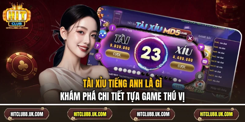 Tài Xỉu Tiếng Anh Là Gì - Khám Phá Chi Tiết Tựa Game Thú Vị
